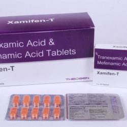 XAMIFEN-T