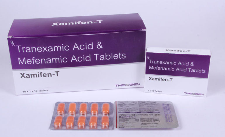 XAMIFEN-T